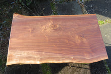 Load image into Gallery viewer, live edge, danish modern-style side or accent table in black walnut slab. Table has repurposed Paul McCobb-style tapered legs danish for a cool mid century modern look