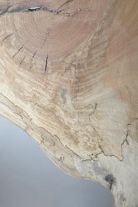 Majestic sycamore slab that will become a magnificent, unique, handcrafted coffee table